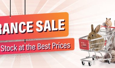 (No period) Pet Lover Centre Clearance sales most cheapest dog leash and hardness for small dog
