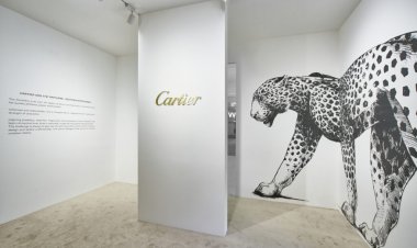 Cartier Into The Wild Experience invites you to discover the universe in the footsteps of the Panthère