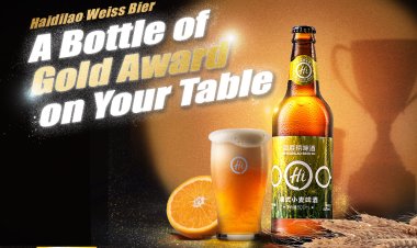 HaiDiLao buy 1 free 1 beer promotion at Northshore Plaza, City Square and Downtown East only till 31 Oct 2022
