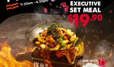 Tanyu lunch set meal only $19.90 with Chongqing, soy sauce, sauerkraut, spicy or green pepper grilled fish rice and coke