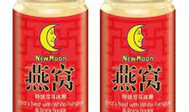 New Moon Chinese New Year bird nest with white fungus and rock sugar