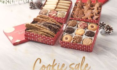 Cedele Christmas cozy tea time buy 2 tins free 1 tins handmade cookies
