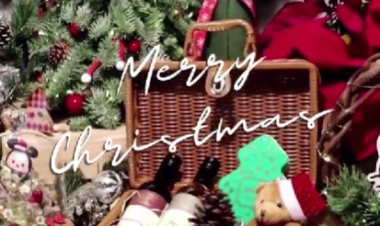 Xpressflower enjoy up to 50% off Christmas collection and heartwarming gifts for your love one