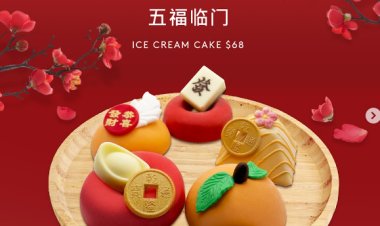 Haagen Dazs Five Treasures ice cream cake at $68 or 3 boxes ice cream delights at $80 for limited time only