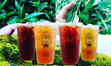 Tiger Sugar 1 for 1 pure tea series at all outlets for limited time only