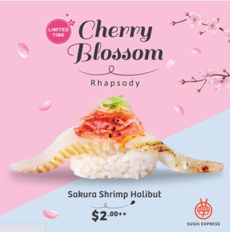 Sushi Express Cherry Blossom @ $2++ Sakura Shrimp Halibut