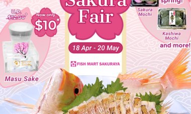 Experience the cherry blossom season at Fish Market Sakuraya till 20 May